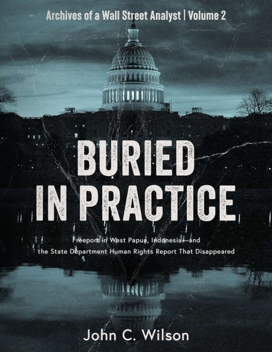 Kniha Buried in Practice John C. Wilson