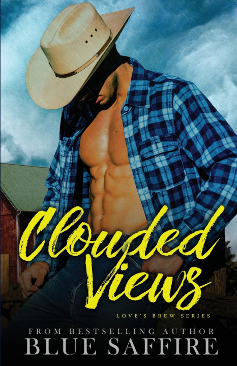 Book Clouded Views TakeCover Designs