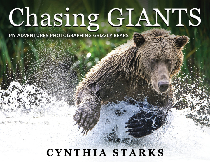Könyv Chasing Giants Cynthia Starks