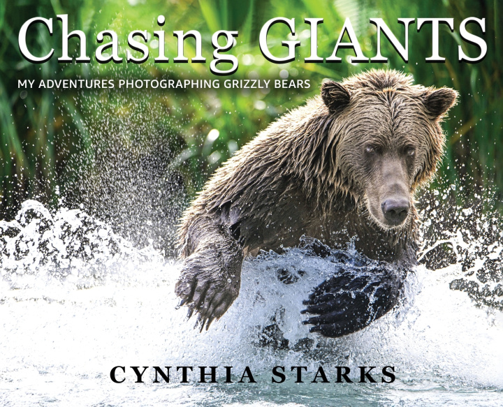 Knjiga Chasing Giants Cynthia Starks
