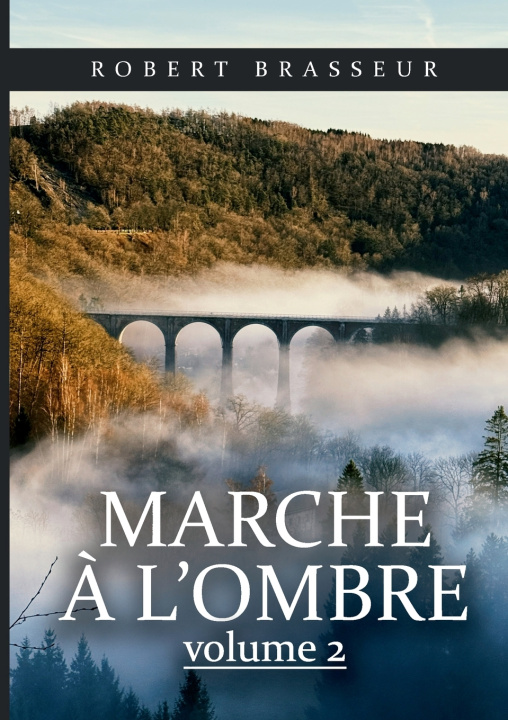 Kniha MARCHE A OMBRE BRASSEUR ROBERT