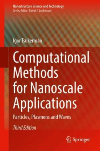 Book Computational Methods for Nanoscale Applications Igor Tsukerman