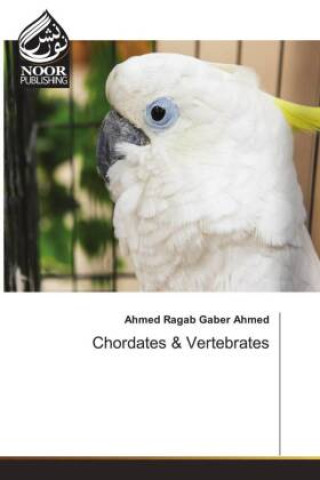 Könyv Chordates & Vertebrates Ahmed Ragab Gaber Ahmed