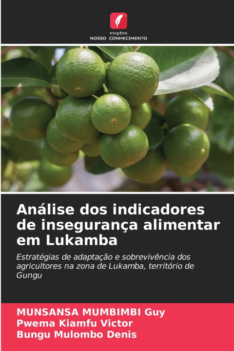 Kniha Análise dos indicadores de insegurança alimentar em Lukamba Munsansa Mumbimbi Guy