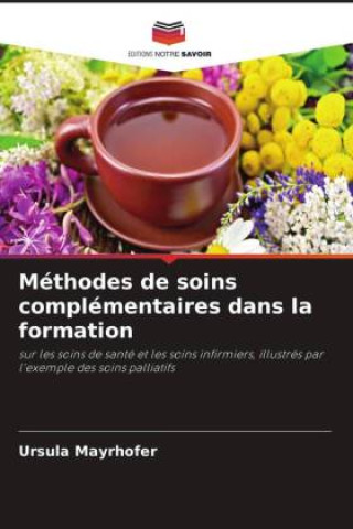 Kniha Méthodes de soins complémentaires dans la formation Ursula Mayrhofer