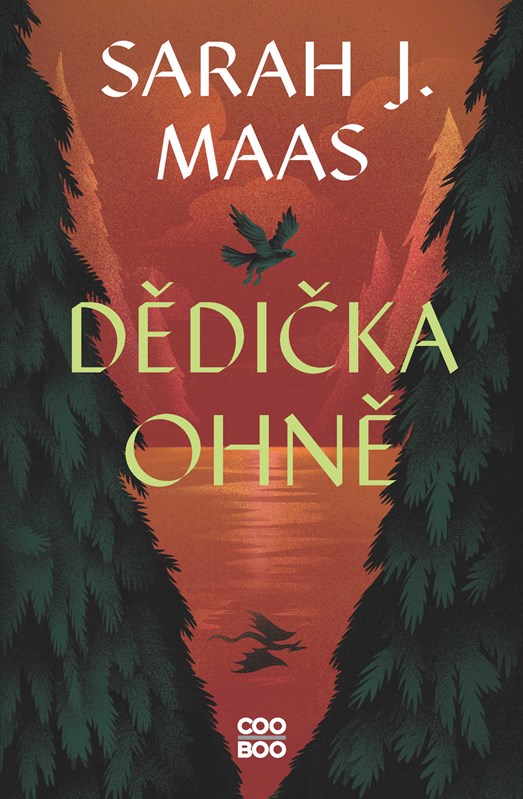 Könyv Dědička ohně Sarah J. Maas