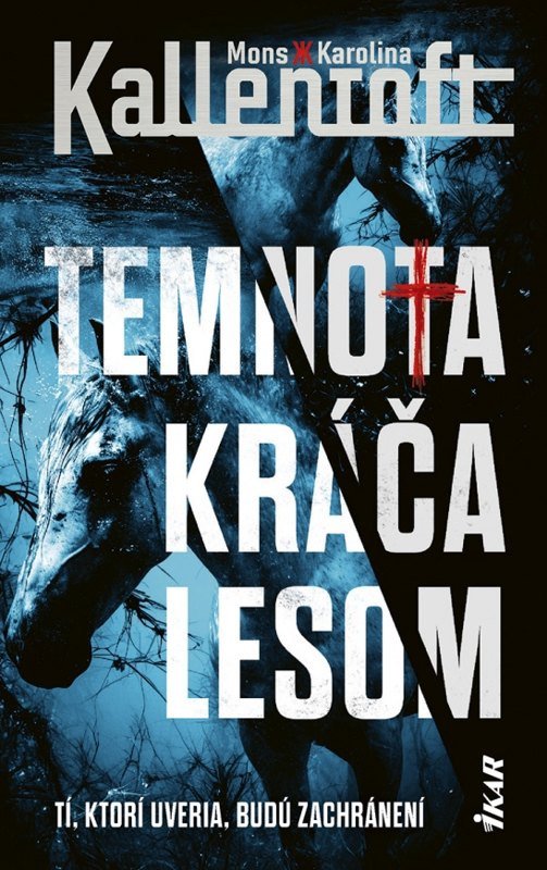 Knjiga Temnota kráča lesom 