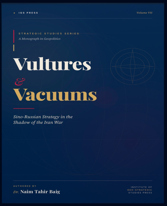 Könyv Vultures and Vacuums Naim Tahir Baig