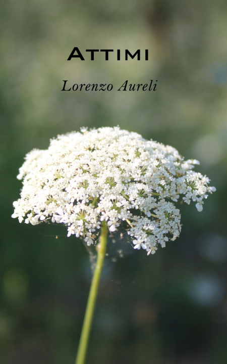Knjiga Attimi Lorenzo Aureli