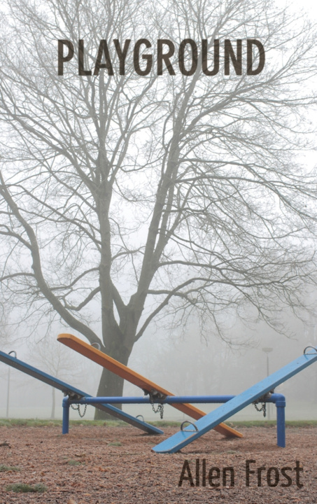 Kniha Playground Allen Frost