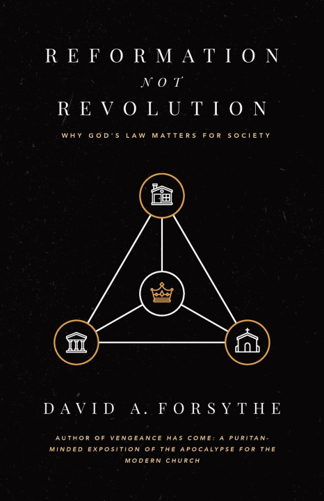 Knjiga Reformation, Not Revolution David A Forsythe