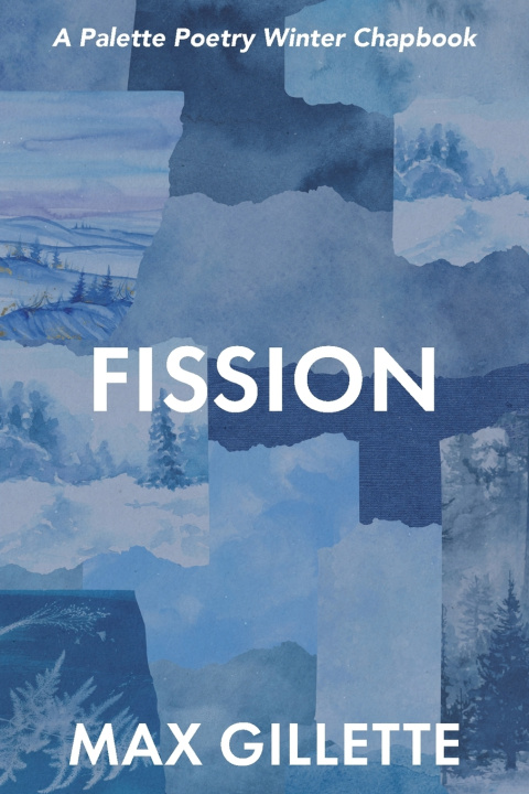 Knjiga Fission Max Gillette