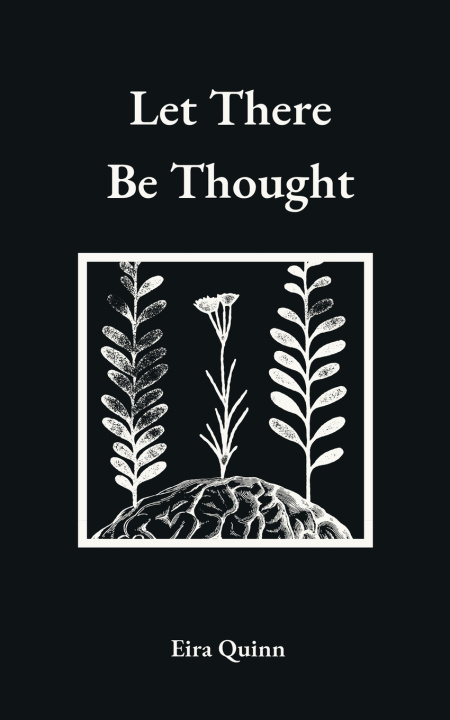 Kniha Let There Be Thought Eira Quinn