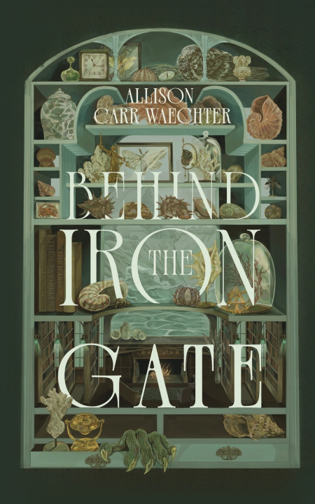 Boek Behind the Iron Gate Allison Carr Waechter