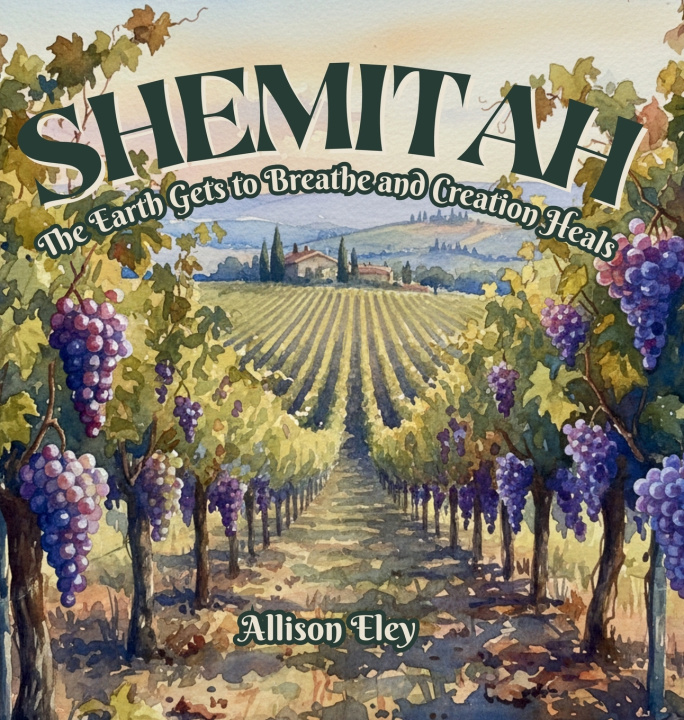 Könyv Shemitah Allison Eley