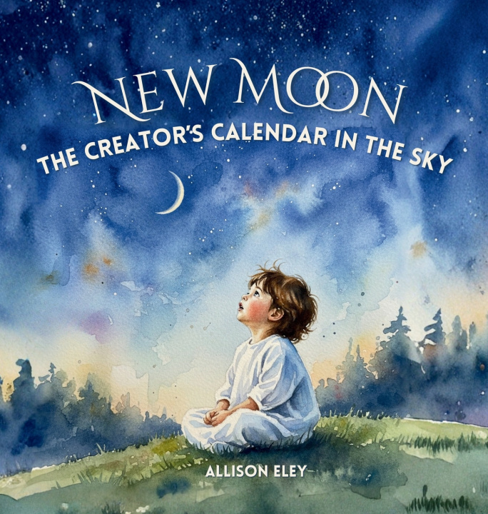 Kniha New Moon Allison Eley