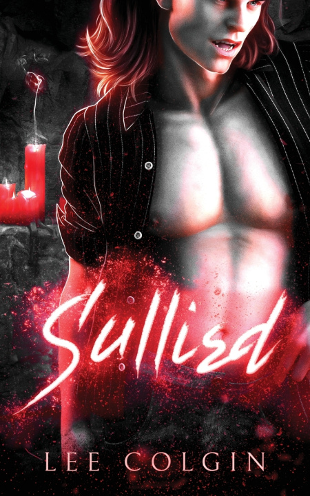 Book Sullied Lee Colgin