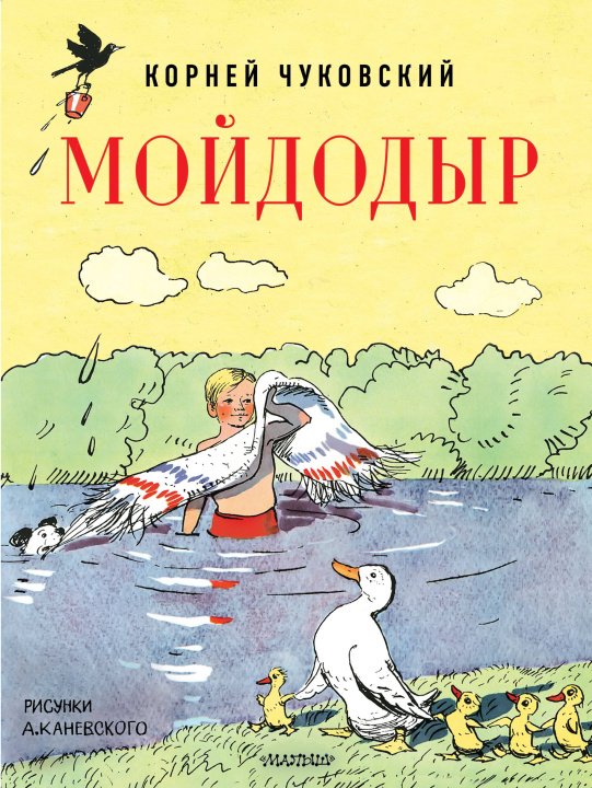 Carte Мойдодыр. Рисунки А. Каневского Корней Чуковский