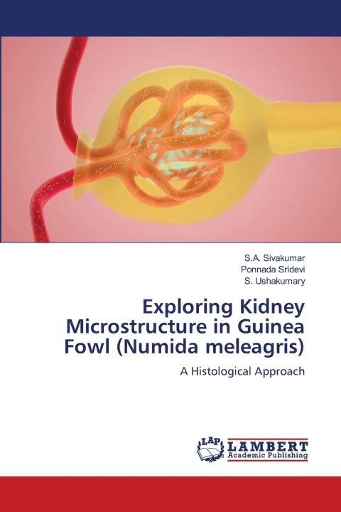 Kniha Exploring Kidney Microstructure in Guinea Fowl (Numida meleagris) S.A. Sivakumar