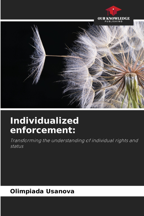 Kniha Individualized enforcement Olimpiada Usanova
