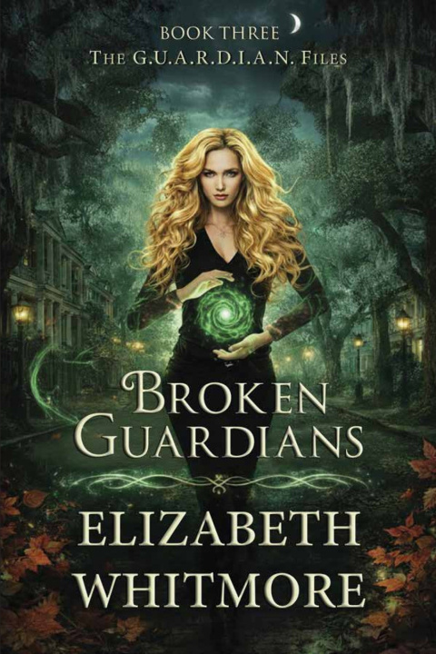 Kniha Broken Guardians Elizabeth Whitmore
