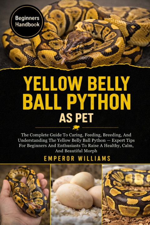 Kniha YELLOW BELLY BALL PYTHON AS PET EMPEROR WILLIAMS