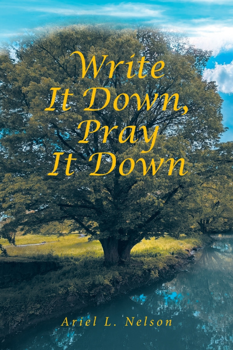 Kniha Write It Down, Pray It Down Ariel L. Nelson