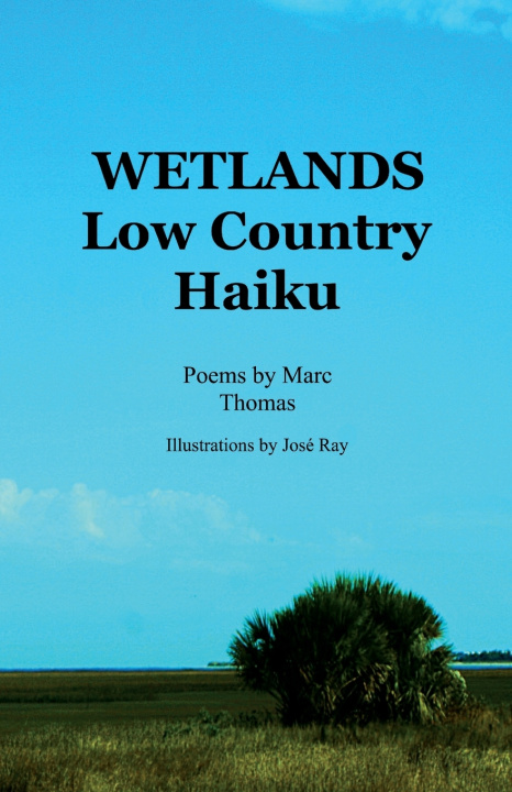 Kniha Wetlands Marc Thomas