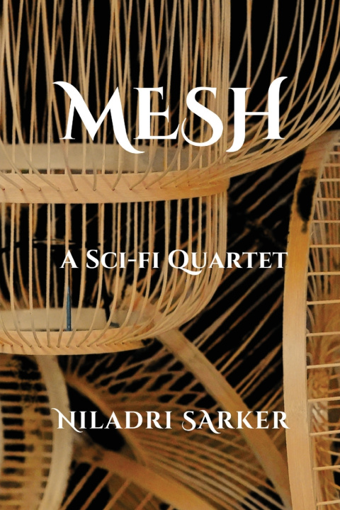 Könyv Mesh Niladri Sarker