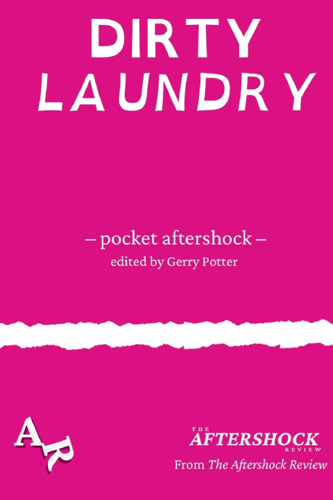 Kniha Dirty Laundry Max Wallis