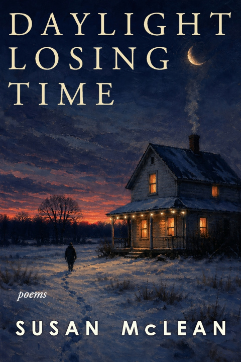 Kniha Daylight Losing Time Susan McLean
