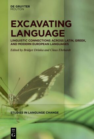 Kniha Excavating Language Bridget Drinka