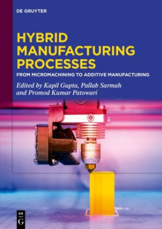 Knjiga Hybrid Manufacturing Processes Kapil Gupta