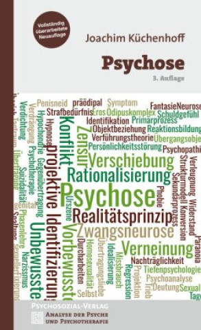 Kniha Psychose Joachim Küchenhoff