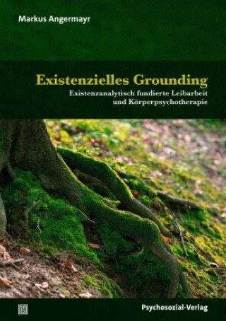 Könyv Existenzielles Grounding Markus Angermayr