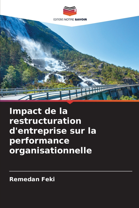 Libro Impact de la restructuration d'entreprise sur la performance organisationnelle Remedan Feki