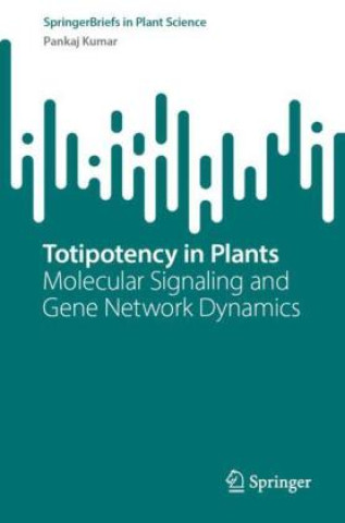 Knjiga Totipotency in Plants Pankaj Kumar