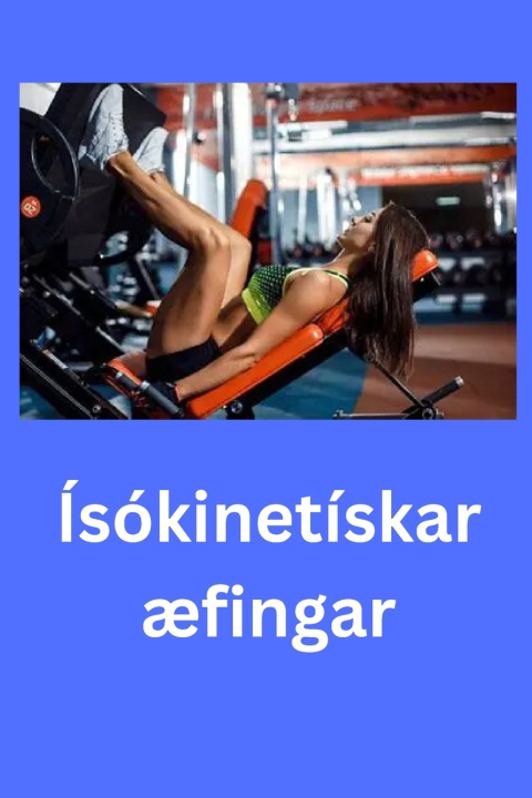 Kniha Ísókinetískar æfingar D Gordon