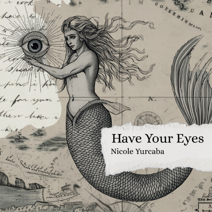 Book Have Your Eyes Nicole Yurcaba