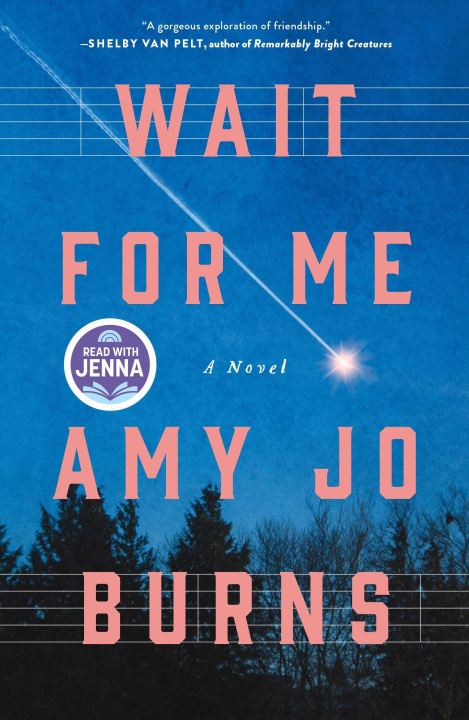 Knjiga Wait for Me Amy Jo Burns
