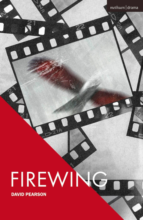 Kniha Firewing David A Pearson
