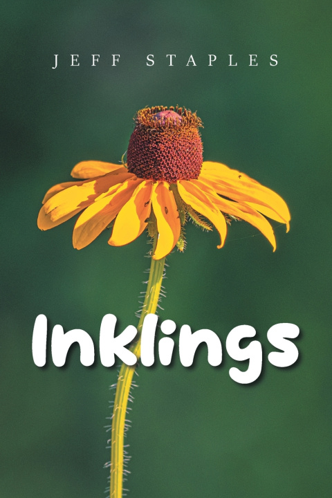 Kniha Inklings Jeff Staples