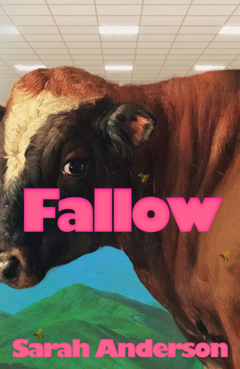 Könyv Fallow Sarah Anderson