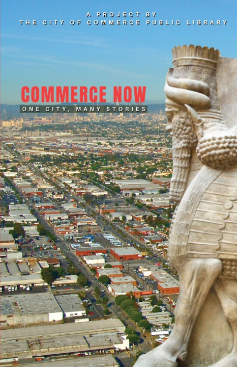 Kniha Commerce Now Commerce Library