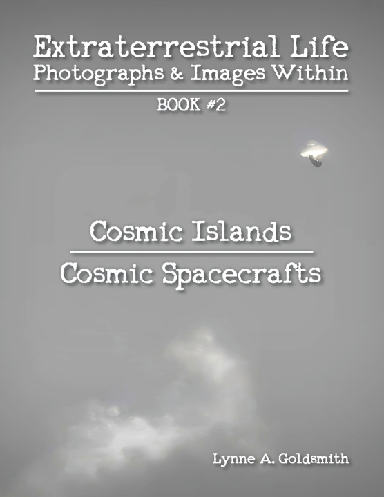 Book Extraterrestrial Life Lynne A Goldsmith