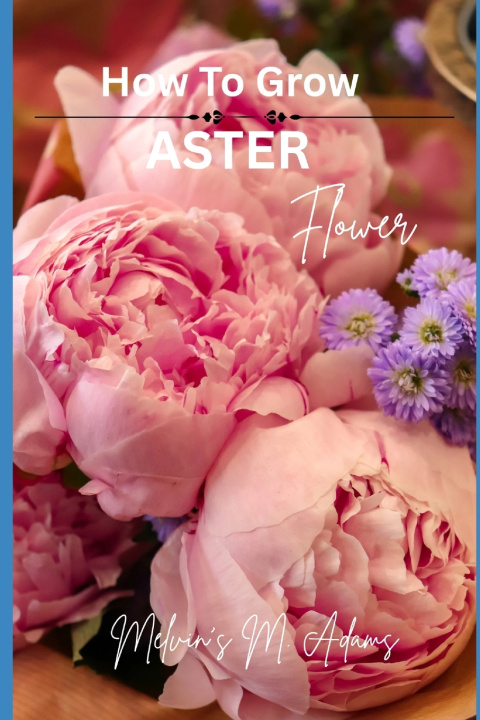 Knjiga How to grow Aster flowers for beginners Melvins M. Adams