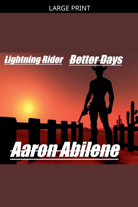 Kniha Lightning Rider Aaron Abilene