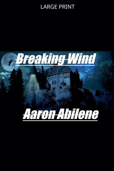 Könyv Breaking Wind Aaron Abilene