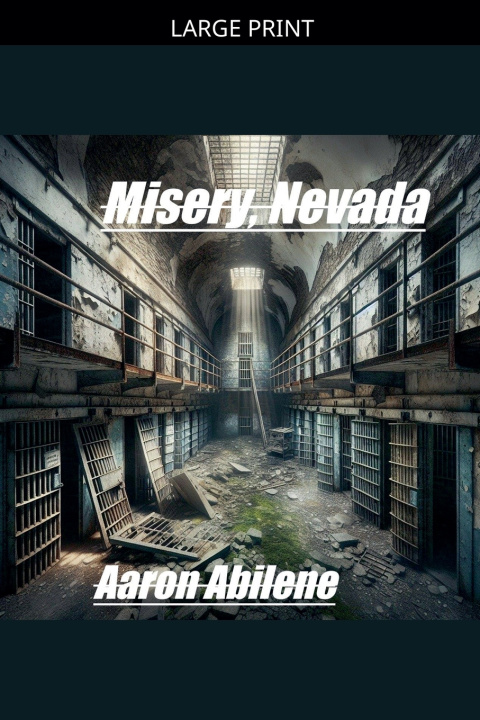 Könyv Misery, Nevada Aaron Abilene