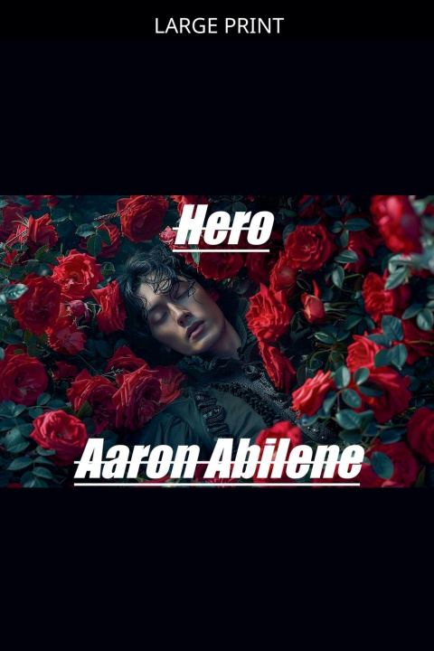 Kniha Hero Aaron Abilene